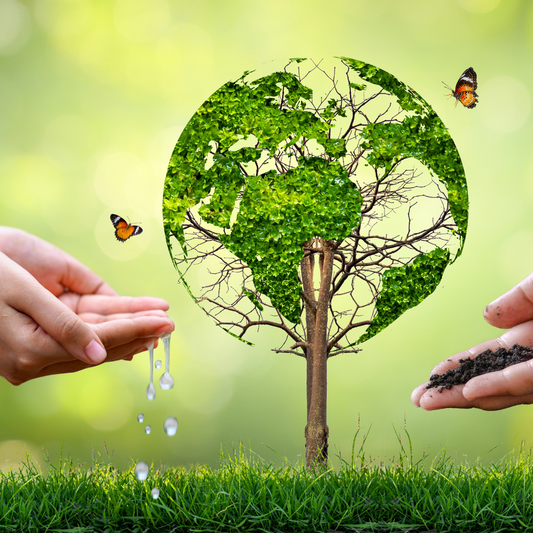 La Importancia de la Moda Sostenible: 8 Razones para Adoptar una Moda Ética y Responsable